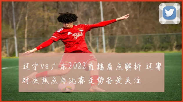 辽宁vs广东2022直播看点解析 辽粤对决焦点与比赛走势备受关注